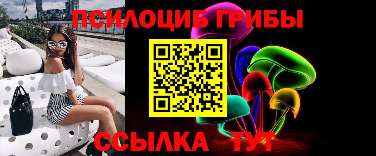 Кизилюрт  Галлюциногенные грибы мухоморы  Вход с VPN  Псилоцибиновые грибы Cubensis 